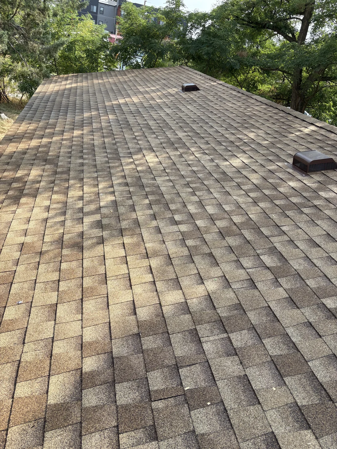 Finished brown shingle roof in Missoula, with two roof vents and trees alongside the house.